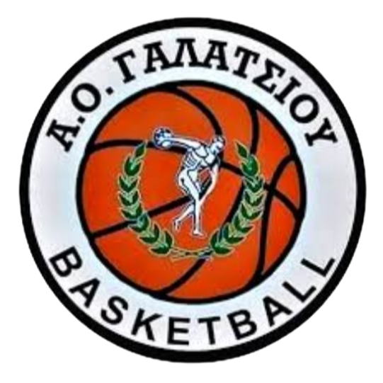 https://img.jlcmdl.com/img/basketball/team/99aa3f28c95a20cc802a5f1a5af87719.png